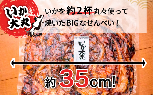 BIGなイカの鉄板焼きとえびせんべい13袋の詰合せ 光栄堂 バラエティパック 人気13種 海鮮せんべい えび いか おつまみ おやつ おすすめ ※北海道・沖縄・離島への配送不可