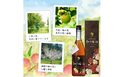 知多梅酒720ml×1本 梅酒 お酒 國盛 國盛FARM 果実酒 食前酒 リキュール ロック ソーダ割 紅南高梅 南高梅 完熟梅 フルーツ 愛知県 美浜町 中埜酒造