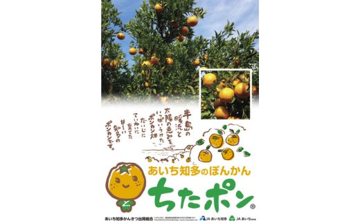 ã¡ããã³ïŒãœãããïŒ5kgïœããã¡ç¥å€ã®ãœããã 倪ç°ãœããã ãã³ã«ã³ ãã«ãŒã æç© æå® ããã〠ã¿ãã ãã«ã³ èæ æééå® æ°ééå® çŸæµçº æç¥ç ç¥å€åå³¶ åœç£ãâ»åæµ·éã»æ²çžã»é¢å³¶ãžã®é
éäžå¯ãâ»2026幎1æäžæ¬ïœ2æäžæ¬é ã«é 次çºéäºå®