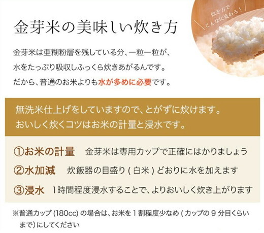 【 金芽米 】愛知県 美浜町産 にじのきらめき 5kg 無洗米｜きんめまい 米 お米 美浜町 糖質オフ BG無洗米 新米※北海道・沖縄・離島への配送不可