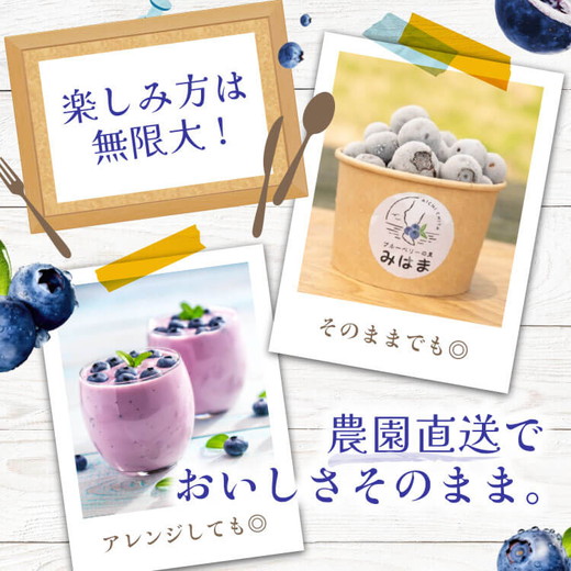 大粒ブルーベリー品種ミックス 125g×6パック 果物 くだもの フルーツ ヨーグルト ジャム 国産 愛知県産 ※2026年6月上旬～8月上旬頃に順次発送予定 ※北海道・沖縄・離島への配送不可