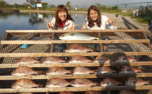 爆釣 美浜フィッシングパーク 利用券 1日券 男性用 体験 チケット ｜ 海釣り 釣り堀 釣堀 旅行 アクティビティ アウトドア スポーツ ギフト券 券 体験チケット 釣り竿 釣竿 竿 釣り餌 レンタル 釣 愛知県 美浜町 知多半島