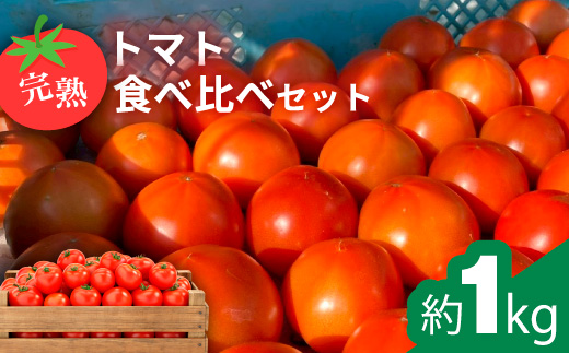 å®çãããé£ã¹æ¯ã¹ã»ããçŽ1kg 3çš®é¡ã®ããã çŸå³ããéžå¥ ïœãšãŸãš ããã æžèŸ²è¬ éè ããã äººæ° æ°é®® ç£å°çŽé çŽå£² çã é«ç³åºŠ å®ç ãªã³ãã³ ãã¿ãã³ ãã€ãšãã çŸå®¹ çŸè æç¥ç çŸæµçº â»2026幎1æäžæ¬ïœ5æäžæ¬é ã«é 次çºé