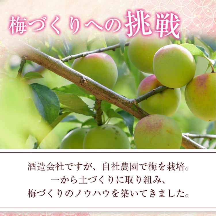 知多梅酒720ml 1ケース ◆ ❘ 梅酒　お酒　國盛　國盛FARM　果実酒　食前酒　リキュール　ロック　ソーダ割　紅南高梅　南高梅　完熟梅　フルーツ　愛知県　美浜町　中埜酒造