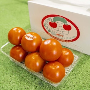 ãšãŸãšã®çåããŸãçŽ2.8kg â»2026幎1æäžæ¬ïœ5æäžæ¬é ã«é 次çºéäºå®â