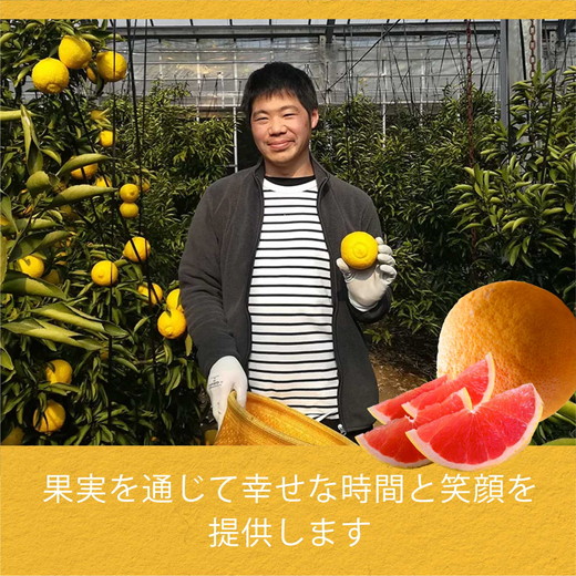 ãå
è¡åä»äºçŽãåœç£ã°ã¬ãŒããã«ãŒã å®¶åºçš7kgïŒ15ïœ20çïŒ èš³ãã ææ© ã¹ã¿ãŒã«ã㌠ããŒã¯ãã¯ã¹ é²è
å€ãªã æç© ãžã¥ãŒã¹ ãžã£ã éæ æ¬ ã¢ãã ã§ããã ã蟲è¬ã䜿ããªã â»2026幎5æäžæ¬ïœ8æäžæ¬é ã«é 次çºéäºå®