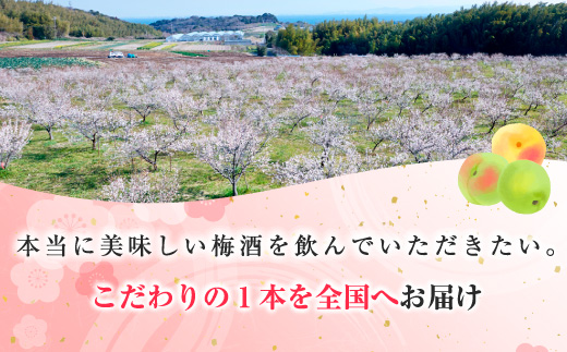 知多梅酒720ml×1本 梅酒 お酒 國盛 國盛FARM 果実酒 食前酒 リキュール ロック ソーダ割 紅南高梅 南高梅 完熟梅 フルーツ 愛知県 美浜町 中埜酒造
