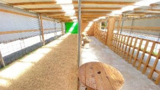 ãäœéšåè¿ç€Œåããããã€ã®ç§å Žããã¯ã€ãŒããã¢ãŒïŒæ¥å Ž/3æé/2åïŒ