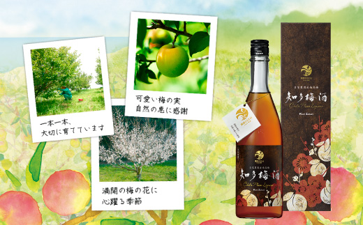 知多梅酒720ml×1本 梅酒 お酒 國盛 國盛FARM 果実酒 食前酒 リキュール ロック ソーダ割 紅南高梅 南高梅 完熟梅 フルーツ 愛知県 美浜町 中埜酒造