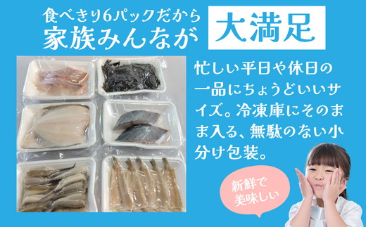 鮮度抜群！お魚おまかせ食べきり６パック・下処理加工してあるので解凍してすぐに調理できます。 ※着日指定不可 ※北海道・沖縄・離島への配送不可
