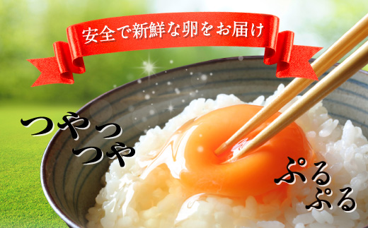 匠の卵 20個(割れ玉補償２個）7％の卵 | たまご　卵　玉子　鶏卵　生卵　プレミアム　優秀賞　愛知県　美浜町　国産　産直　卵黄　卵かけご飯