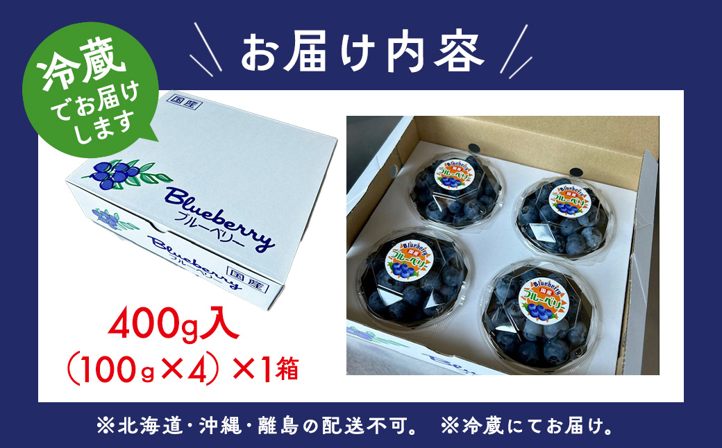 【数量＆期間限定】国産大粒ブルーベリー 100g×4パック入り ※2025年6月中旬～8月中旬に順次発送予定 ※北海道・沖縄・離島への配送不可