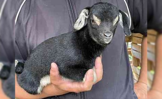 ãäœéšåè¿ç€Œåãçãã®ã€ã®ã»ã©ããŒäœéšïŒæ¥å Ž/1æé/1åïŒ