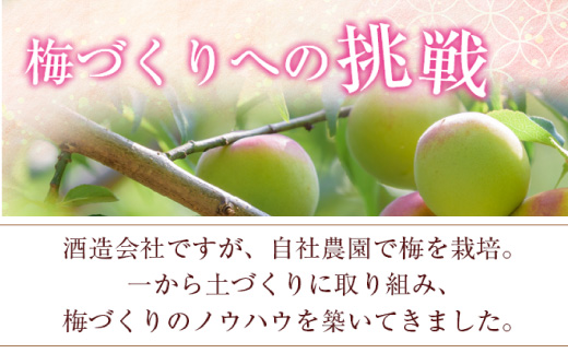 知多梅酒720ml×1本 梅酒 お酒 國盛 國盛FARM 果実酒 食前酒 リキュール ロック ソーダ割 紅南高梅 南高梅 完熟梅 フルーツ 愛知県 美浜町 中埜酒造