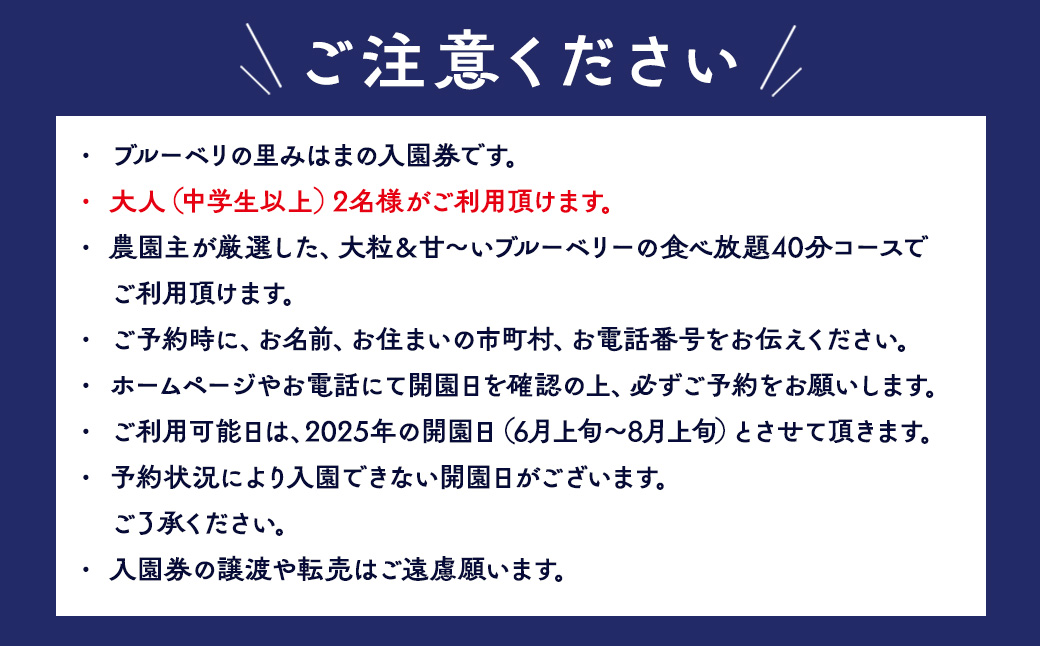 【食べ放題！】ブルーベリ狩り入園券 大人2名分