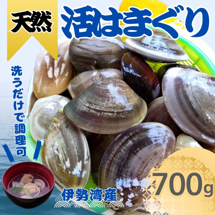 天然 はまぐり 700g | 活はまぐり 天然はまぐり 蛤 ハマグリ 伊勢湾 天然 活 冷蔵 魚介 魚貝 海鮮 貝 出汁 だし 味噌汁 酒蒸し グラタン お祝い ひなまつり 節句 おせち 贅沢 人気 おすすめ 愛知県 美浜町 ※北海道・沖縄・離島への配送不可