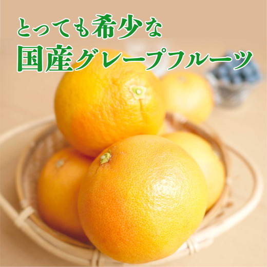 ãå
è¡åä»äºçŽãåœç£ã°ã¬ãŒããã«ãŒã å®¶åºçš7kgïŒ15ïœ20çïŒ èš³ãã ææ© ã¹ã¿ãŒã«ã㌠ããŒã¯ãã¯ã¹ é²è
å€ãªã æç© ãžã¥ãŒã¹ ãžã£ã éæ æ¬ ã¢ãã ã§ããã ã蟲è¬ã䜿ããªã â»2026幎5æäžæ¬ïœ8æäžæ¬é ã«é 次çºéäºå®