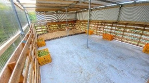 ãäœéšåè¿ç€Œåããããã€ã®ç§å Žããã¯ã€ãŒããã¢ãŒïŒæ¥å Ž/3æé/2åïŒ