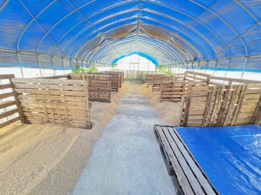 ãäœéšåè¿ç€Œåããããã€ã®ç§å Žããã¯ã€ãŒããã¢ãŒïŒæ¥å Ž/3æé/2åïŒ