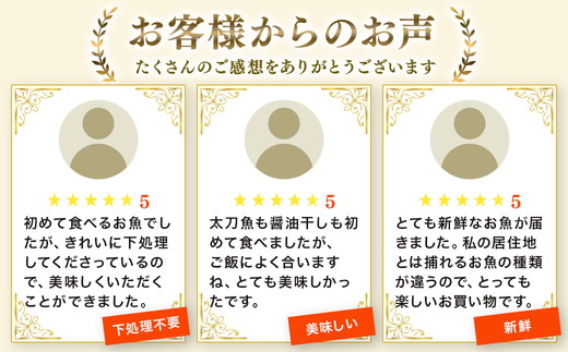 鮮度抜群！お魚おまかせ食べきり６パック・下処理加工してあるので解凍してすぐに調理できます。 ※着日指定不可 ※北海道・沖縄・離島への配送不可