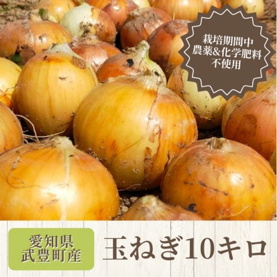 【4月から順次発送】こだわり玉ねぎ10kg　栽培期間中化学肥料/農薬不使用【1660261】