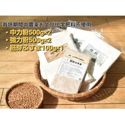 小麦粉セット【1462898】