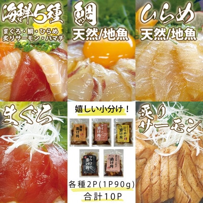 特製出汁醤油で漬け込んだ漬け丼5種セット10食(各90g)【配送不可地域：離島】【1678675】