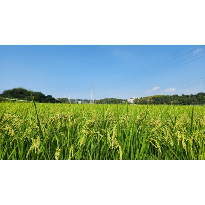 お米セット【1464599】