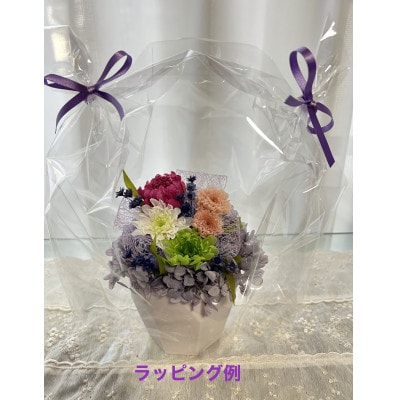 莉剰干(鄂ョ縺榊梛)繝励Μ繧カ繝シ繝悶ラ繝輔Λ繝ッ繝シ縲1695601縲