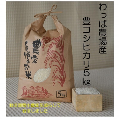 わっぱのお米5kg(低農薬豊こしひかり)【1714517】