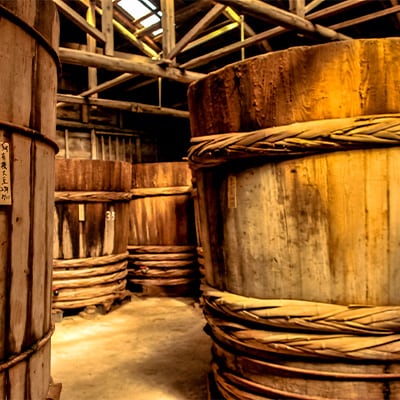 æ¿åãªåœç£è±ã®ããŸããããããã¹ããã»ããã1104214ã