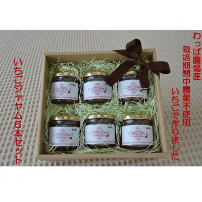 栽培期間中農薬不使用いちごジャム6本セット【1714555】