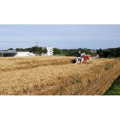 邏ー縺縺ゥ繧薙そ繝繝医1462591縲