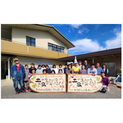 小麦粉セット【1462898】