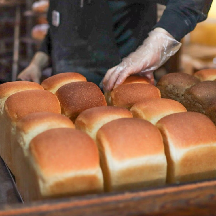 ã12ã¶æå®æäŸ¿ãèªçª¯ãã³ ã·ã³ãã«ã»ãã