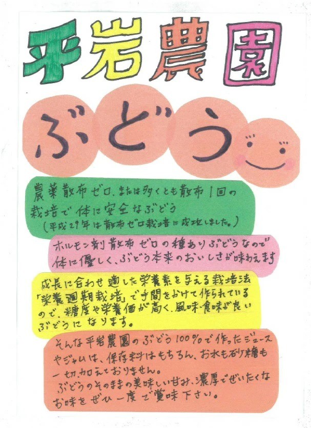 幸田町産ぶどう使用100％ジュース 2種詰め合わせ （720ml × 2本） ｜ 無添加 無糖 無加水 巨峰 ベリーA 甲斐路 デラウェア 送料無料