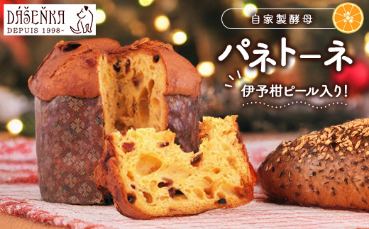 自家製酵母使用のパネトーネ！！ 1個入り ｜ お菓子 おやつ