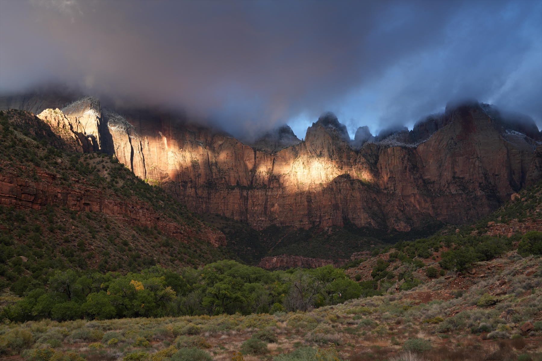 デジタル一眼カメラα[Eマウント]用レンズ　FE 50mm F1.4 GM | ソニー カメラ レンズ 一眼 短焦点 交換レンズ