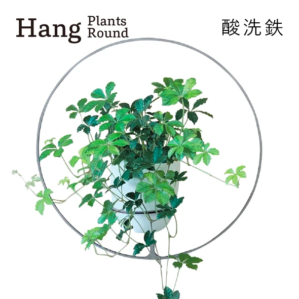 GRAVIRoN Hang Plants シリーズ Round 酸洗鉄（プランツハンガー）