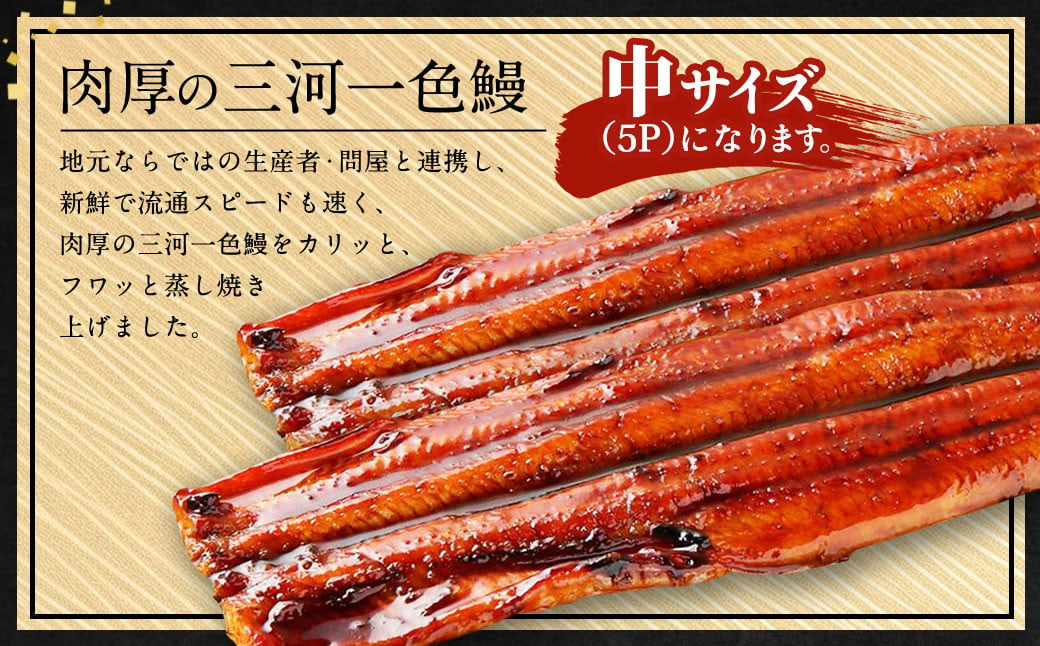 中(5P) 三河一色 鰻 蒲焼き 5尾 (600g以上) (肝焼き付き)  うなぎ 鰻 蒲焼 丑の日 土用の丑の日 肝焼き