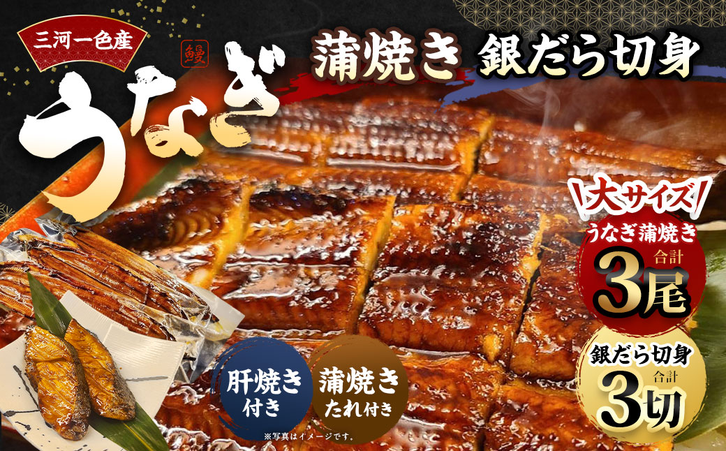 三河一色産 うなぎ蒲焼き 大3尾 + 銀たら 照り焼き 3切れ 蒲焼きたれ セット 簡単調理 冷凍