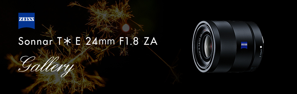デジタル一眼 カメラα [Eマウント] 用レンズ Sonnar T* E 24mm F1.8 ZA