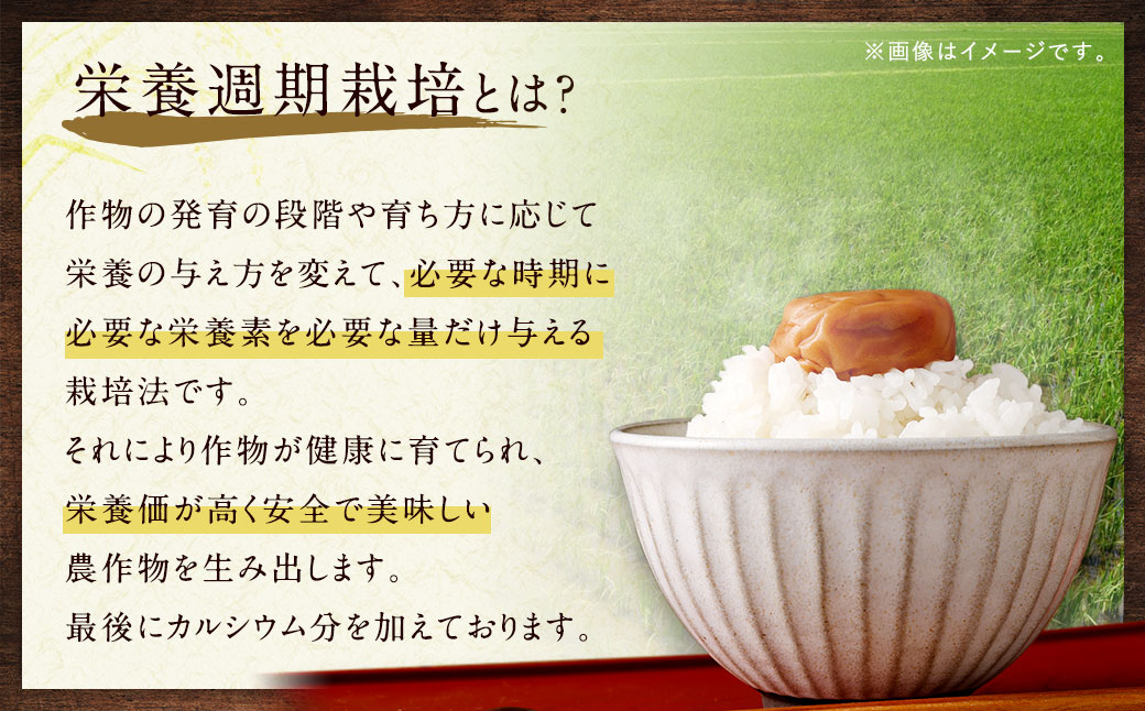 幸田町産「栄養週期栽培米」あいちのかおり 5kg 白米 精米 お米