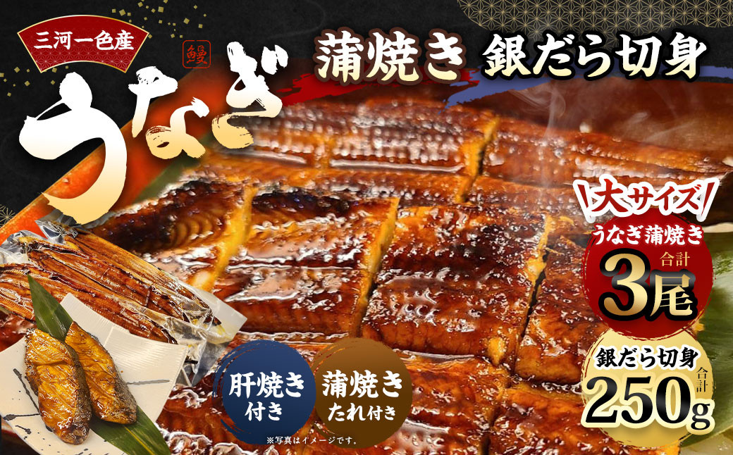 三河一色産 うなぎ蒲焼き 大3尾 + 銀たら 照り焼き 250g 蒲焼きたれ セット 簡単調理 冷凍