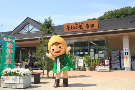 「道の駅筆柿の里幸田」オリジナル！幸田町特産「筆柿」加工品詰め合わせ