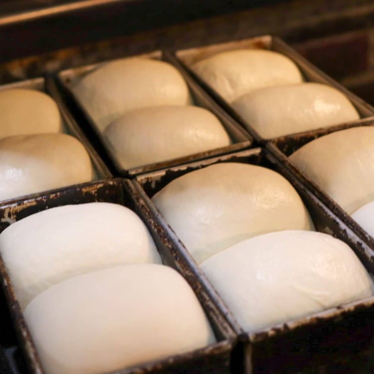 ã6ã¶æå®æäŸ¿ãèªçª¯ãã³ ã·ã³ãã«ã»ãã