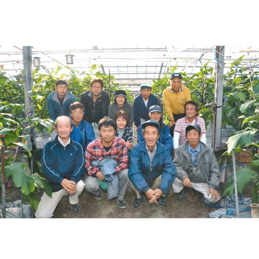 蟷ク逕ー逕コ逕」縲後→縺偵↑縺礼セ手隙蟄舌 5kg ス 縺ェ縺 繝翫せ 闌蟄 驥手除 窶サ11譛茨ス6譛医↓鬆谺。逋コ騾∽コ亥ョ