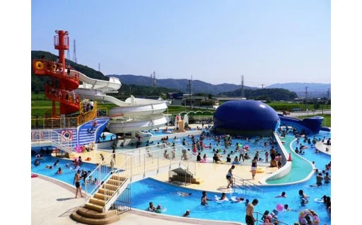 5.教育・文化に関する事業（教育の充実、文化振興、スポーツ振興等に関する事業）