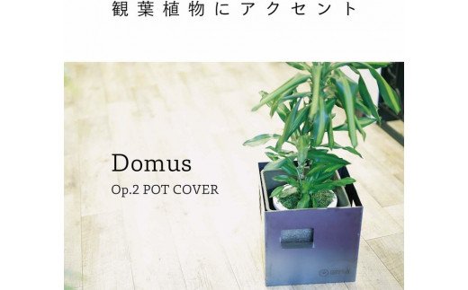 GRAVIRoN Domus Op.2 Pot Cover 酸洗鉄 160mm角（鉢カバー）