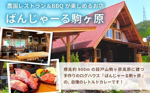 お肉ごろっと入った！たけうち牧場のビーフカレー お試し 1個 国産牛 ご当地カレー カレー 中辛 ブランド牛カレー レトルトカレー スパイス 段戸牛カレー  -217